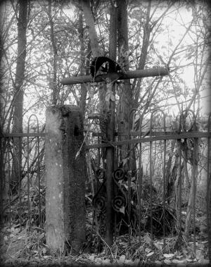 Wyróżnienie - Radosław Magiera za zdjęcie "ZAPOMNIANY"